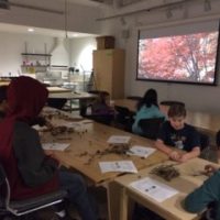Art and the Environment Class