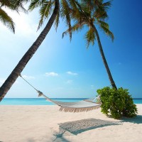 Hammock on the beach