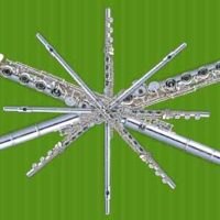 Flute collage