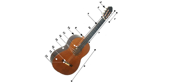 Diagram of guitar parts
