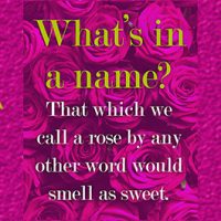 What's in a name?