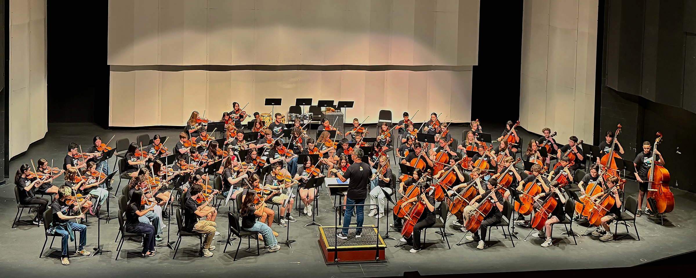 string orchestra final concert